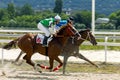 Horse racing for the prize in honor of Derby Jasil in Pyatigorsk. Royalty Free Stock Photo