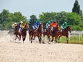 PYATIGORSK,RUSSIA - JULY 7: race for the Big prize OaKS on July Royalty Free Stock Photo