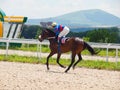 PYATIGORSK,RUSSIA - JULY 7: race for the Big prize OaKS. Mare Sa Royalty Free Stock Photo