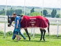 PYATIGORSK,RUSSIA - JULY 7: race for the mares Big prize OaKS o Royalty Free Stock Photo