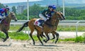 Horse race for the Open prize among akhal-teke horses