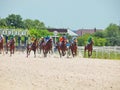 PYATIGORSK,RUSSIA - JULY 7: start of race for the Big prize OaKS Royalty Free Stock Photo