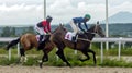 Horse racing for the prize of the Letni in Pyatigorsk. Royalty Free Stock Photo