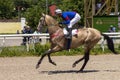 Before horse race in Pyatigorsk. Royalty Free Stock Photo