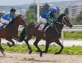 Horse racing for the prize of the Vesenni.