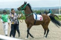 Jockey and trainers get the horse on the start line