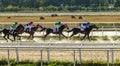 Horse race in Pyatigorsk hippodrome Royalty Free Stock Photo