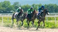 Horse racing for the prize in honor of the mare Big Tric Royalty Free Stock Photo