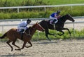 Horse racing in Pyatigorsk. Royalty Free Stock Photo