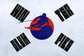 South Korea Winter Olympics - Slalom
