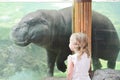 Pygmy hippopotamus Royalty Free Stock Photo