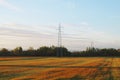 Pylon and cables over a cereal field in April in Paracuellos de Jarama, Spain.