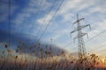 Pylon and power lines at sunset with grass Royalty Free Stock Photo