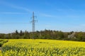 Pylons in a blooming rapeseed field Royalty Free Stock Photo