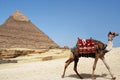 Pyramid of Chefren, Giza, Egypt Royalty Free Stock Photo