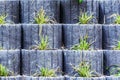 Pyramid of concrete flower beds with plants. modern urban design