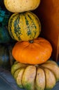 Pyramid of different varieties of pumpkins in the market. Harvest festival, autumn halloween. Green, orange, yellow and striped