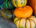 Pyramid of different varieties of pumpkins in the market. Harvest festival, autumn halloween. Green, orange, yellow and striped