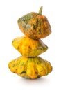 Pyramid of gourds Royalty Free Stock Photo