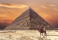 The Pyramid of Khafre or of Chephren at sunset, is the second-tallest and second-largest of the Ancient Egyptian Pyramids of Giza Royalty Free Stock Photo