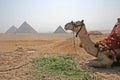 Pyramid at Lunch Break Royalty Free Stock Photo