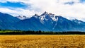 The pyramid shaped Cheam Mountain, or Cheam Peak, towering over the Fraser Valley as seen from the Lougheed Highway near Agassiz Royalty Free Stock Photo
