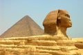 Pyramid and Sphynx Royalty Free Stock Photo