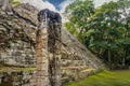 Pyramid stairs and Carved Stella in Mayan Ruins - Copan Archaeological Site, Honduras Royalty Free Stock Photo