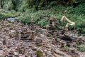 Pyramid of stones on Annapurna Sanctuary trek in Nepal Royalty Free Stock Photo