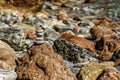 Pyramid stones balance on the sand of the beach. Blue Sea on Background Selective focus, zen stones on sea beach, meditation, spa Royalty Free Stock Photo