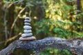 Pyramid stones balance on a tree trunk in the forest. Pyramid in focus, forest background is blurred