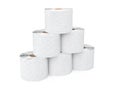 Pyramid from toilet paper rolls Royalty Free Stock Photo