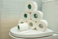 The pyramid of toilet rolls lies on the lid of the toilet bowl