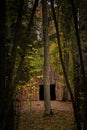 Pyramid of Wishes. Wooden pyramid in the mysterious Pokaini Forest near Dobele, Latvia during cloudy autumn day