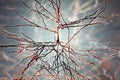Pyramidal neurons, human brain cells Royalty Free Stock Photo