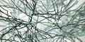 Pyramidal neurons, human brain cells Royalty Free Stock Photo