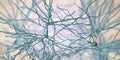 Pyramidal neurons, human brain cells Royalty Free Stock Photo