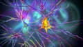 Pyramidal neurons of the human brain Royalty Free Stock Photo