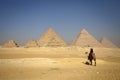 Pyramids and alone camel, lonely people Royalty Free Stock Photo