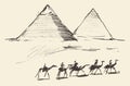 Pyramids Cairo Egypt with Caravan Camels Vintage