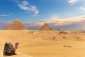 The Pyramids and camels, beautiful Giza desert view Royalty Free Stock Photo