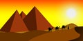 Pyramids with camels walking in the desert