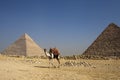 THE PYRAMIDS IN EGYPT