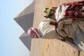The pyramids in gaza Royalty Free Stock Photo