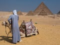 The Pyramids of Giza in Cairo, Egypt