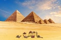 Pyramids of Giza in the desert of Egypt and amel caravan resting nearby Royalty Free Stock Photo