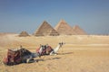 The Pyramids of Giza in Egypt Royalty Free Stock Photo