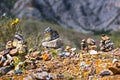 Pyramids of stones. Altai Republic, Russia