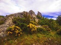 Pyrenean rock with broom under clouds