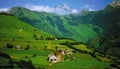 Pyrenees